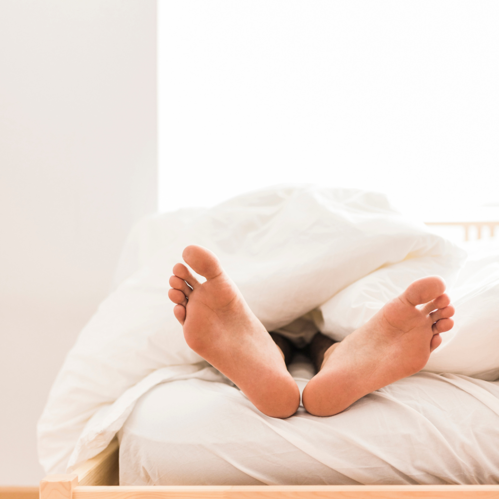 Descanso - Muebles Carpinsalo